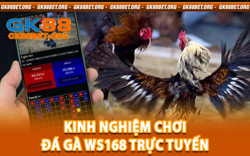 đá gà WS168