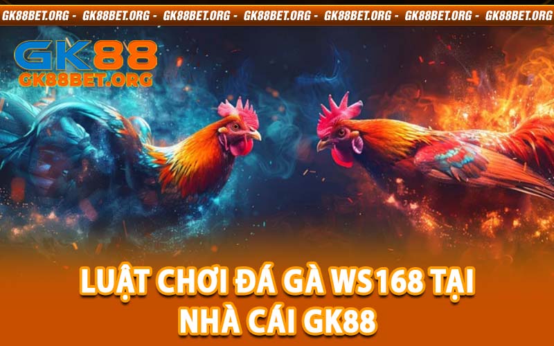 đá gà WS168